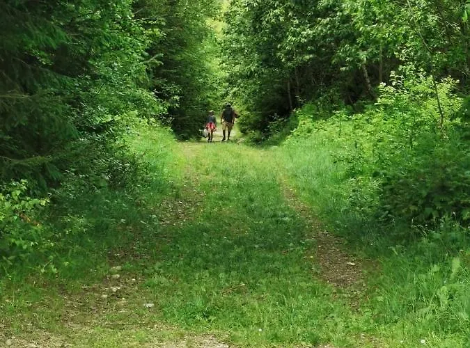 гірський релакс Деревянный коттедж Golovetsk