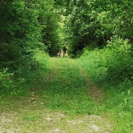 гірський релакс Jaktstuga Golovetsk